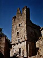 Carcassonne - 21 - Tour du Treseau (Facade)